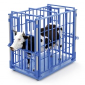 Весы для животных усиленные "Хедлок" 2200x1250 купить с доставкой